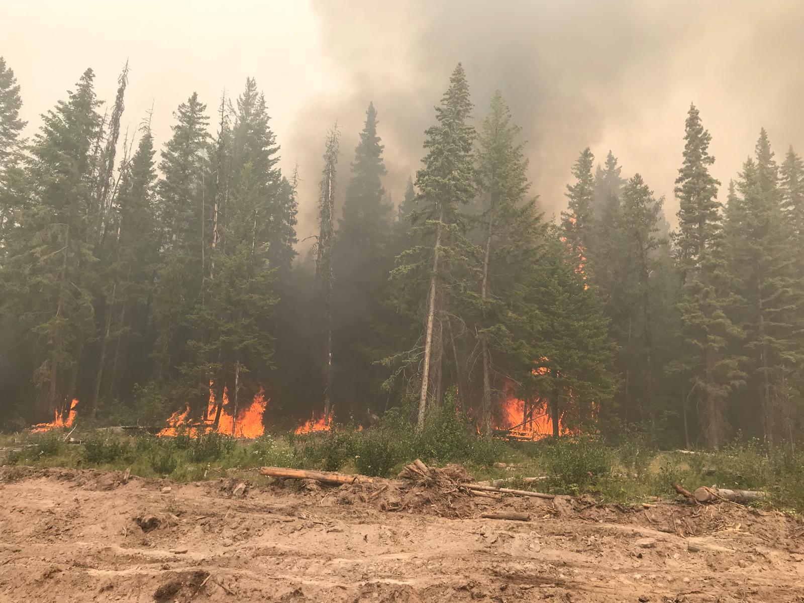Wildfire command & community recovery — 6