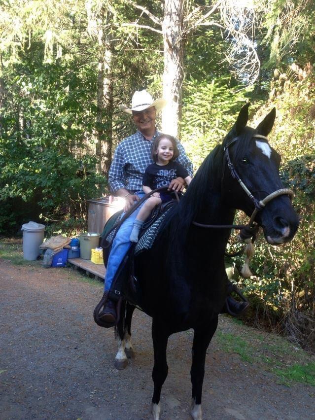 Equine-assisted therapeutic programs — 3