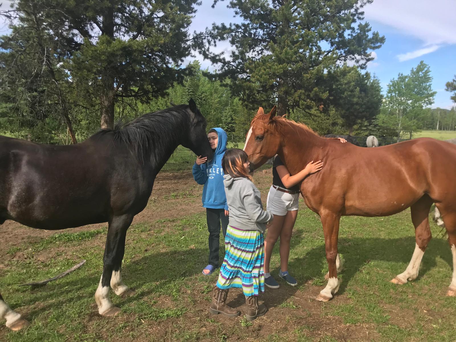 Equine-assisted therapeutic programs — 4