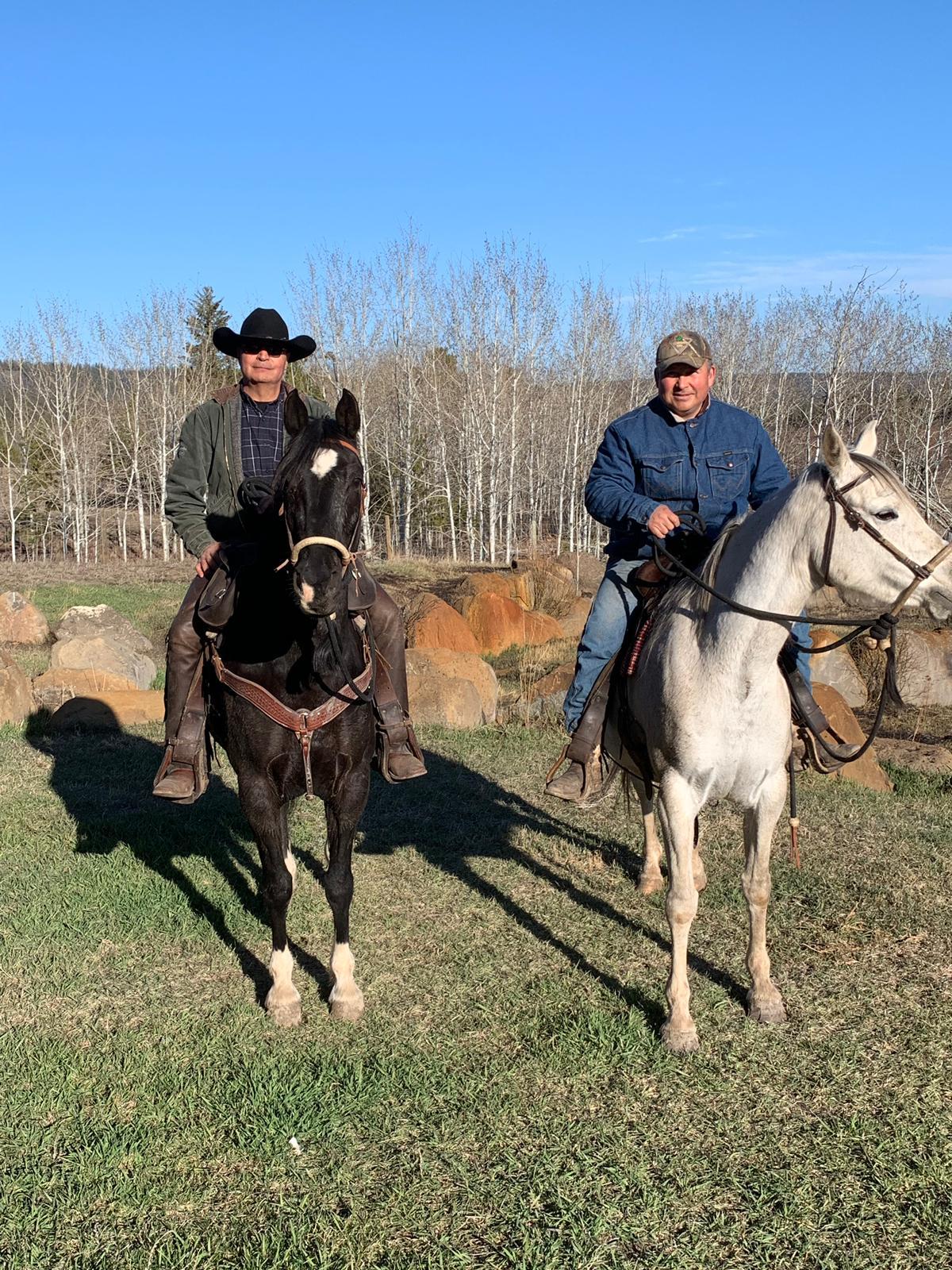 Equine-assisted therapeutic programs — 9