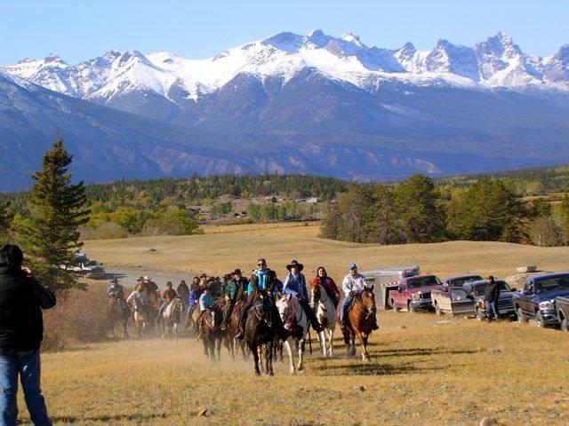 Equine-assisted therapeutic programs — 13